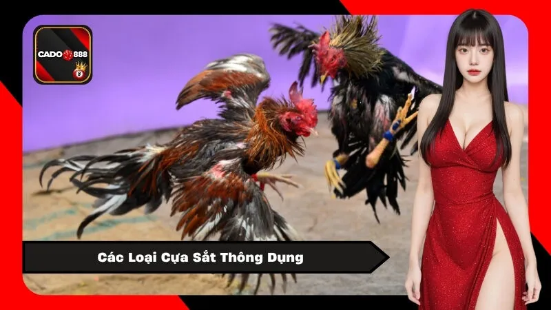 Các Loại Cựa Sắt Thông Dụng